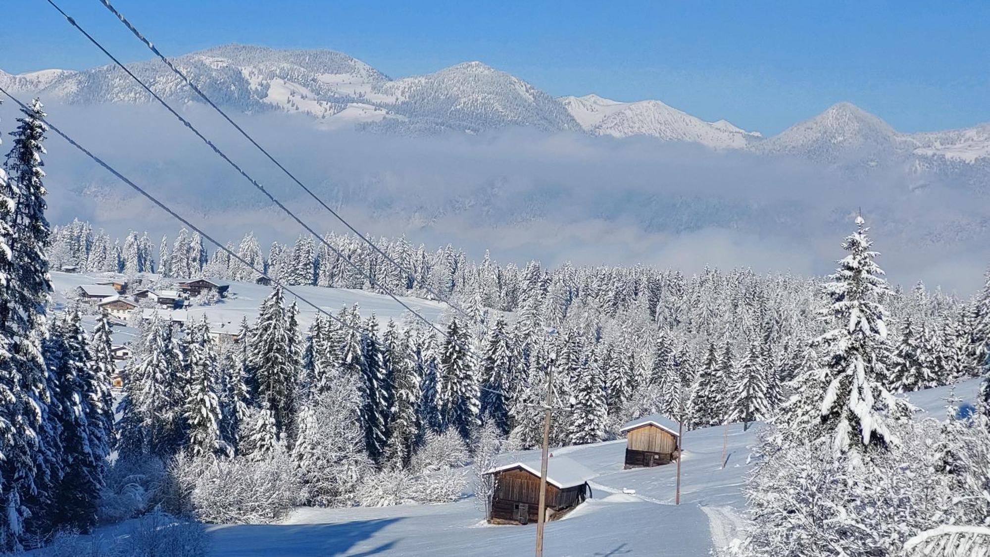 Almrose Auffach